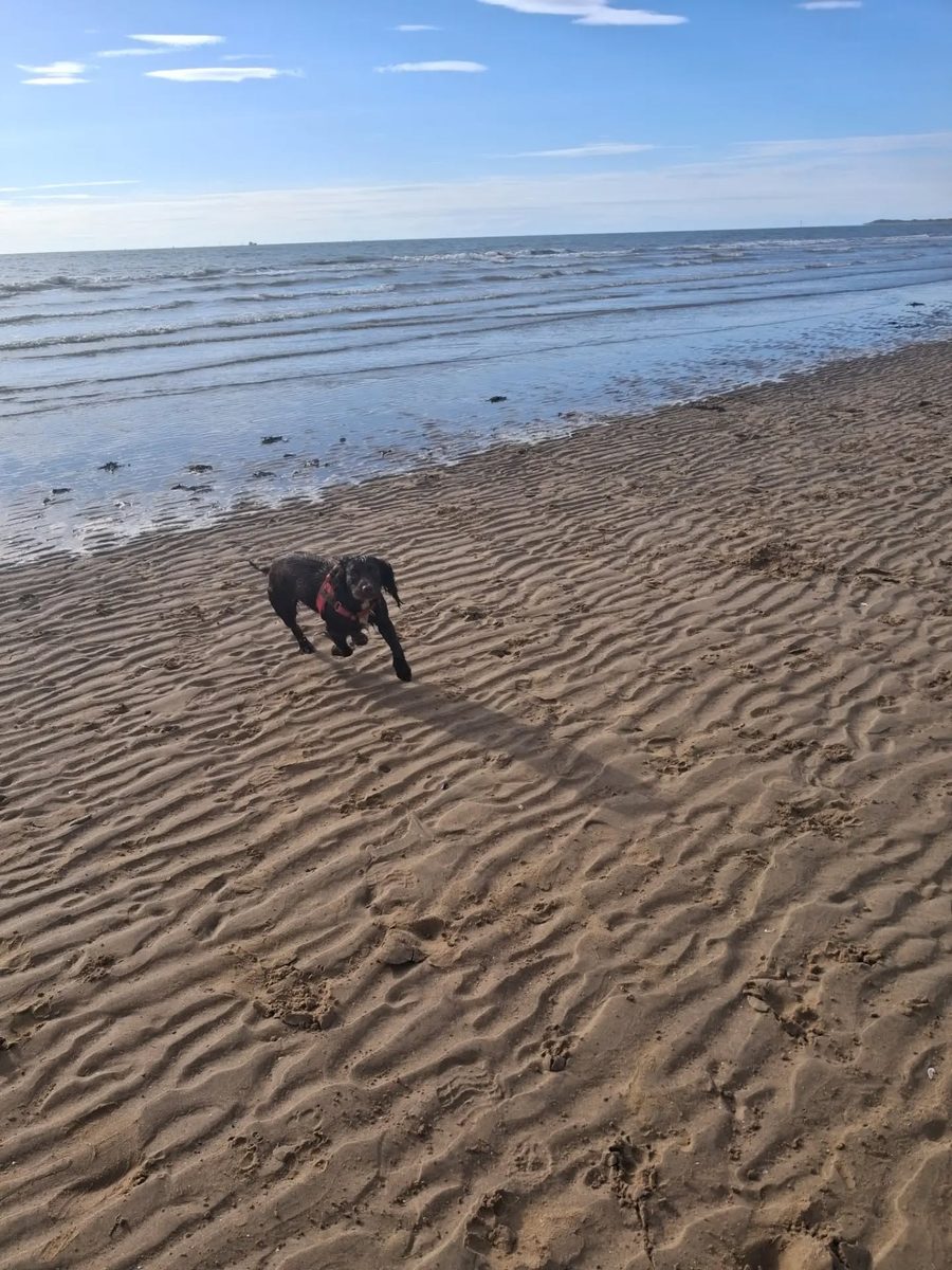 Sea air and open sand