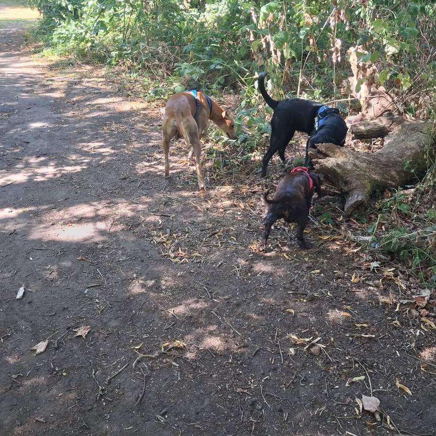 Group walk out on the trail